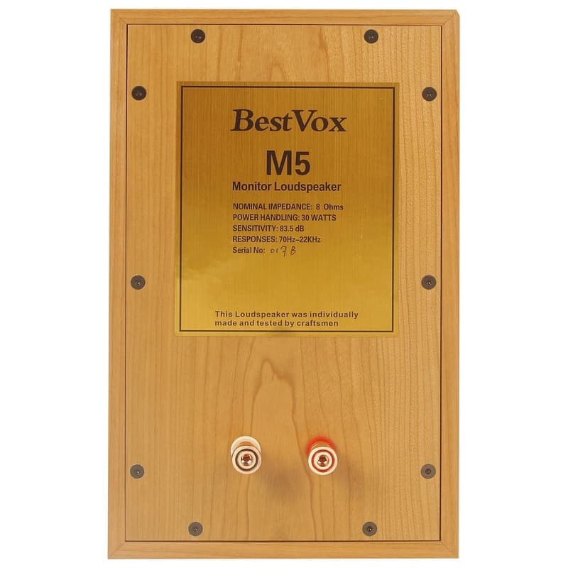 【BestVox本色】M5 書架型喇叭+Spotless A1前管後晶 綜合擴大機 圖6