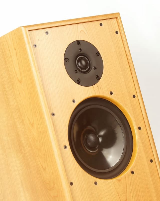 【BestVox本色】M9 書架型喇叭+Spotless A1前管後晶 綜合擴大機 圖2